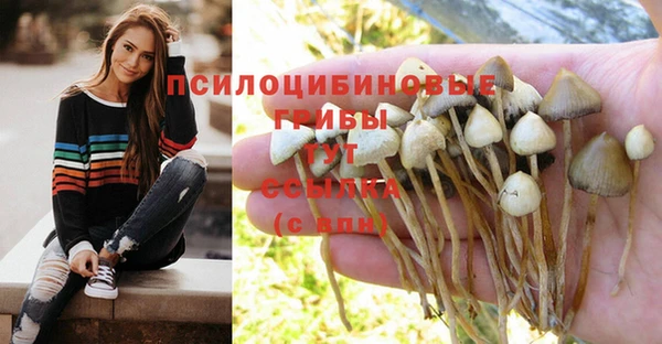мдпв Белоозёрский